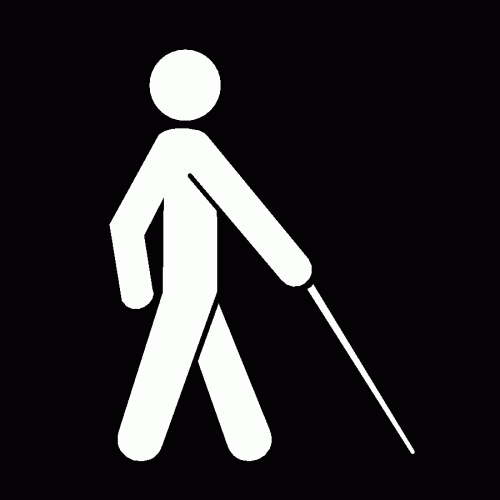 blind/low vision icon
